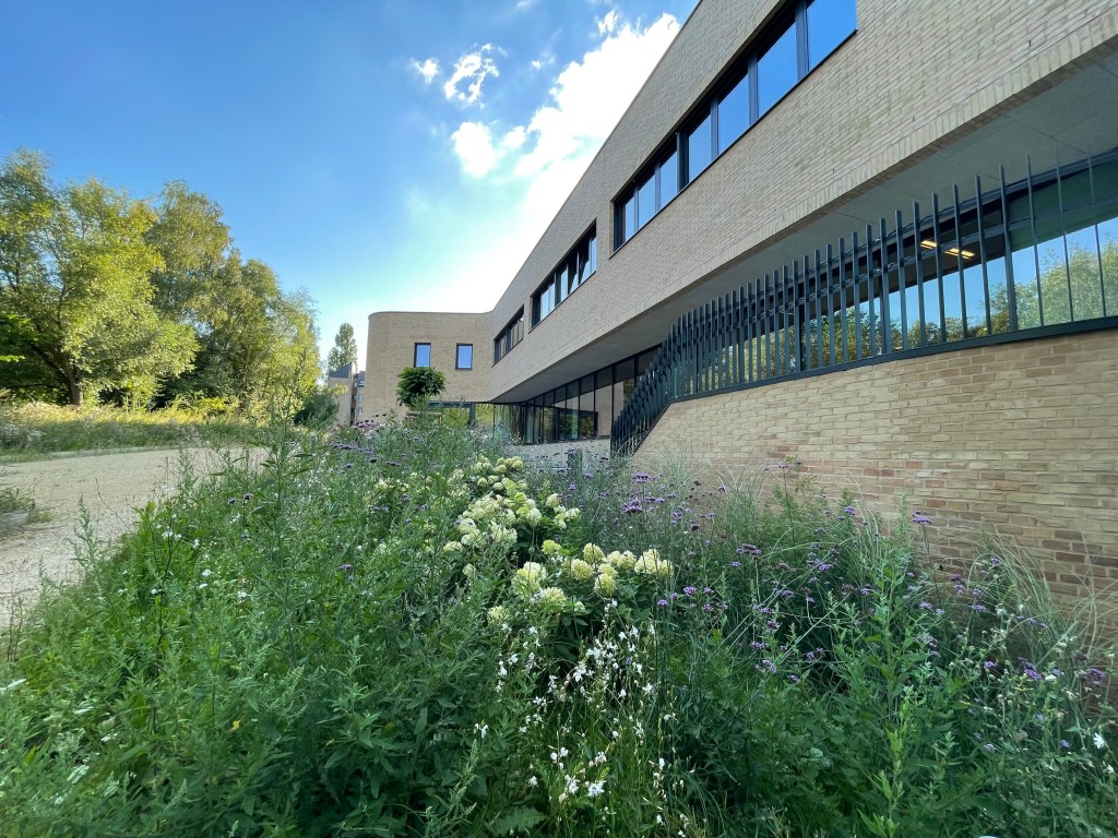 Louvain-La-Neuve : Extension d’une haute école
Assistance au maître d’ouvrage en maîtrise d’ouvrage délégué concernant l’extension de l’Ephec (école pratique des hautes études commerciales).
Cela consiste à aider le maître d’ouvrage dans les bons choix, la compréhension du suivi du chantier, la représentation aux réunions de chantier, le contrôle de l’administration du chantier et la défense de ses intérêts.